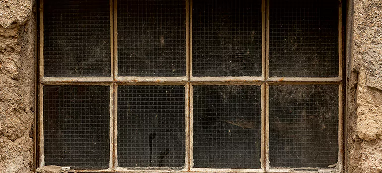 Traditional Double Front Doors in Jacksonville, FL