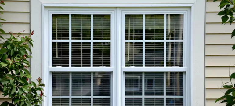 Custom Double Hung Windows in Jacksonville, FL
