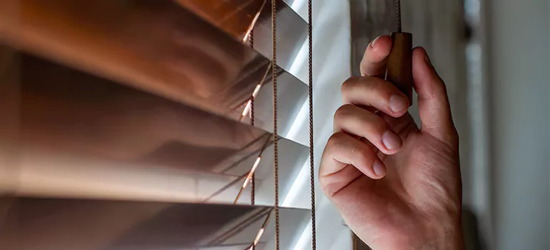 Double Roller Blinds in Jacksonville, FL