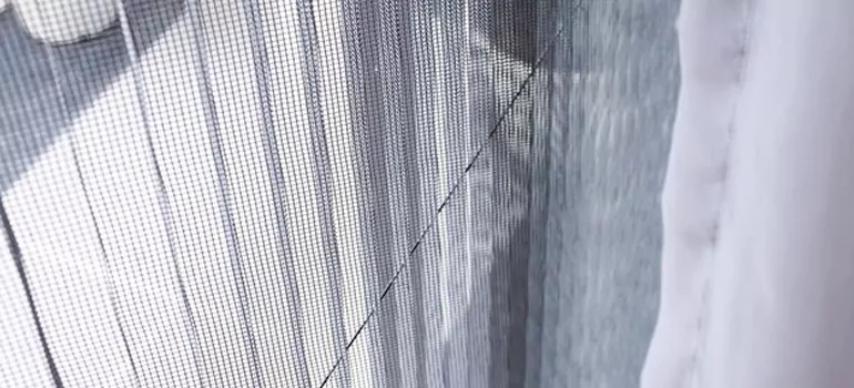 Fixing Screen Window Mesh in Jacksonville, FL