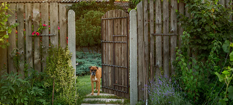 Winter Garden Garage Door Repair in Jacksonville,[location field=state]