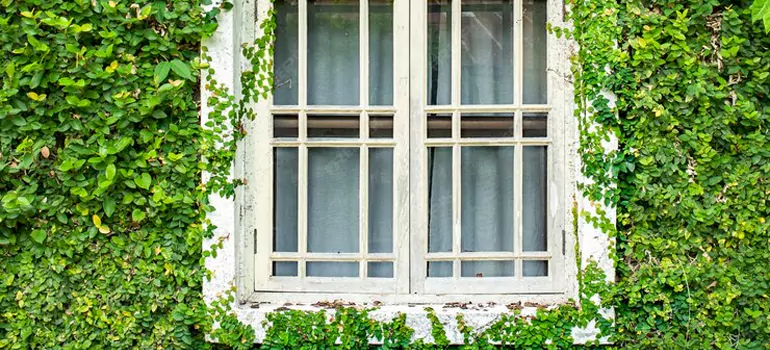 Garden Window Repair Near Me in Jacksonville, FL