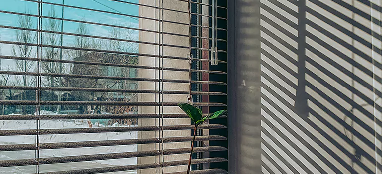 Commercial Window Blinds in Jacksonville, FL