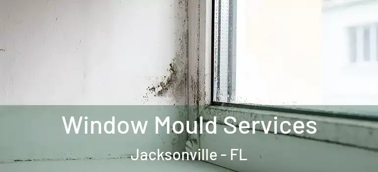 Window Mould Services Jacksonville - FL