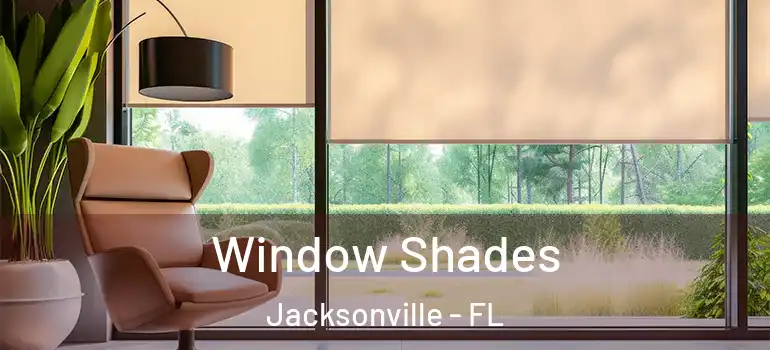 Window Shades Jacksonville - FL